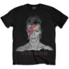Aladdin Sane Vintage T-Shirt (Last Available) -HELL BUNNY SHOP BOWTS22MB
