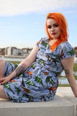 Jurassic Adventure Dinosaur Tea Party Dress - Run & Fly