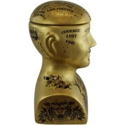 Gold Phrenology Storage Head 30cm -HELL BUNNY SHOP S TJP0025 2 798x798 7cc209eb f18a 4cf3 8b0c 748a184ac550