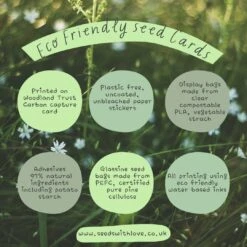 Wildflowers For Butterflies Seed Card - Seeds With Love -HELL BUNNY SHOP The Eco Friendly Card 1 5179 1673264165 ce044afe 2f8f 4b01 b028 050706916b4f