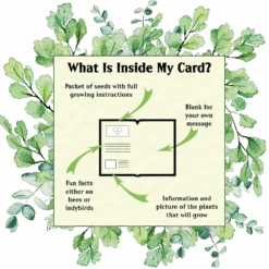 Lucky The Ladybird Seed Card - Seeds With Love -HELL BUNNY SHOP whats inside my card border lucky buzzer 6943 1673266868 1722485b c1b8 4868 aac3 64aab2c6766d