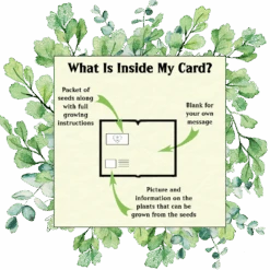 Naughty Nature Seed Card - Seeds With Love -HELL BUNNY SHOP whats inside my card border vintage 3403 1673265237