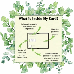 Wildflowers Seed Card - Seeds With Love -HELL BUNNY SHOP whats inside wildflowers 5845 1673266652