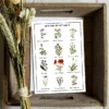 Wildflowers Seed Card - Seeds With Love 2 Wildflowers Seed Card - Seeds With Love -HELL BUNNY SHOP wildflow mock up box 2912 1656930053